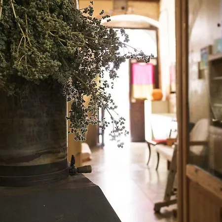 Anti Boutique Loft In Old Town *